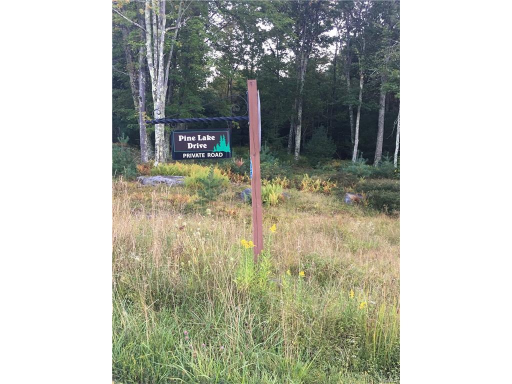 Pine Lake Drive - Photo 1