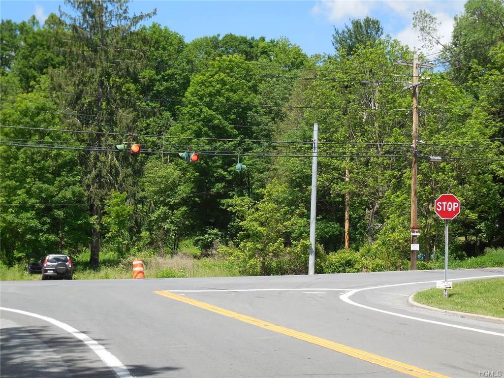 1049 Us Route 209 - Photo 1