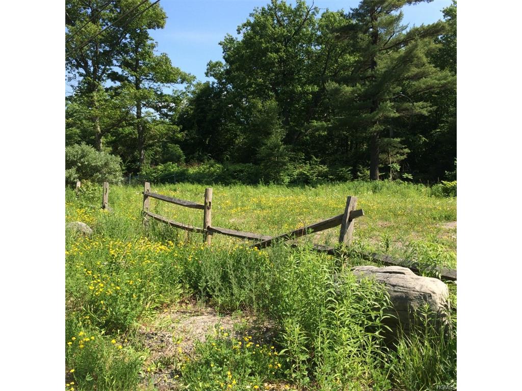 Wurtsboro Mountain Road - Photo 1