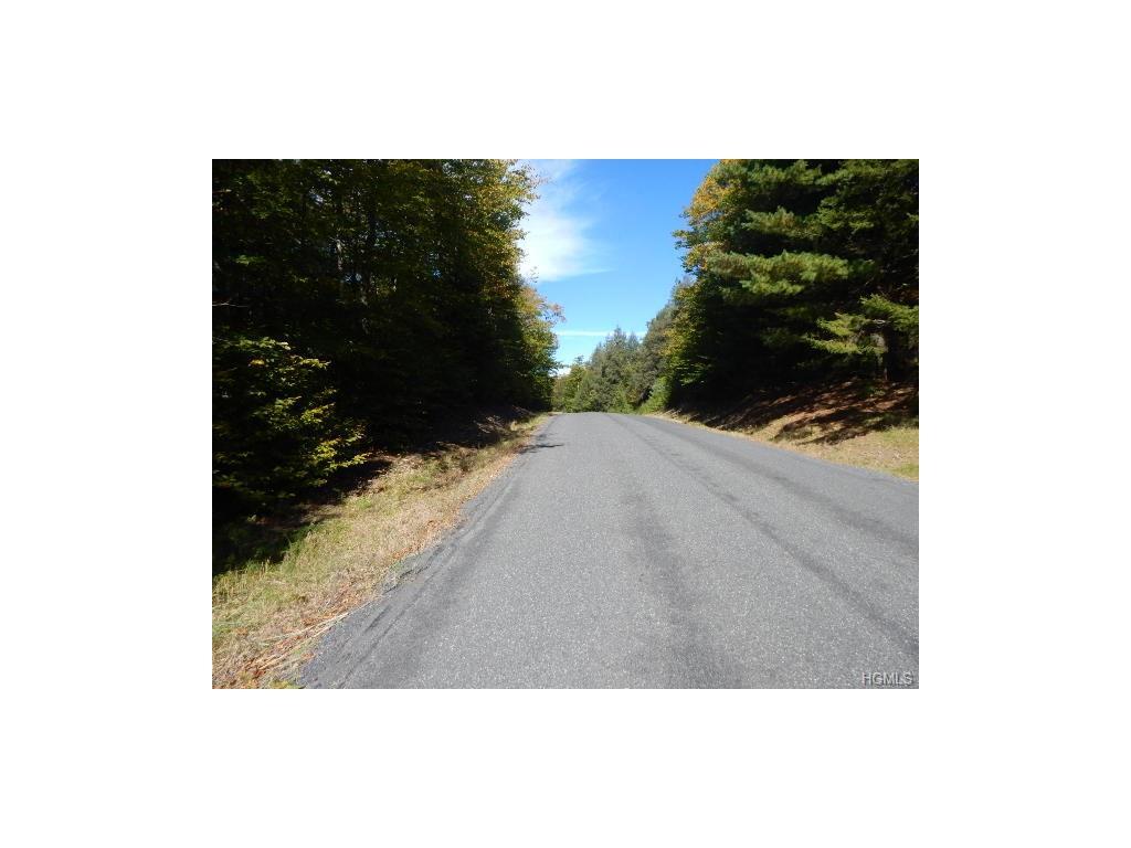 Rose Valley Road - Photo 1