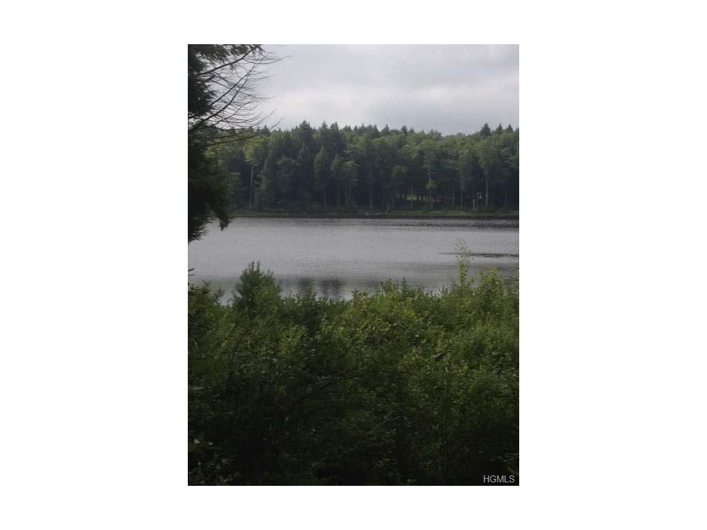Nys Hwy 17B - Photo 1