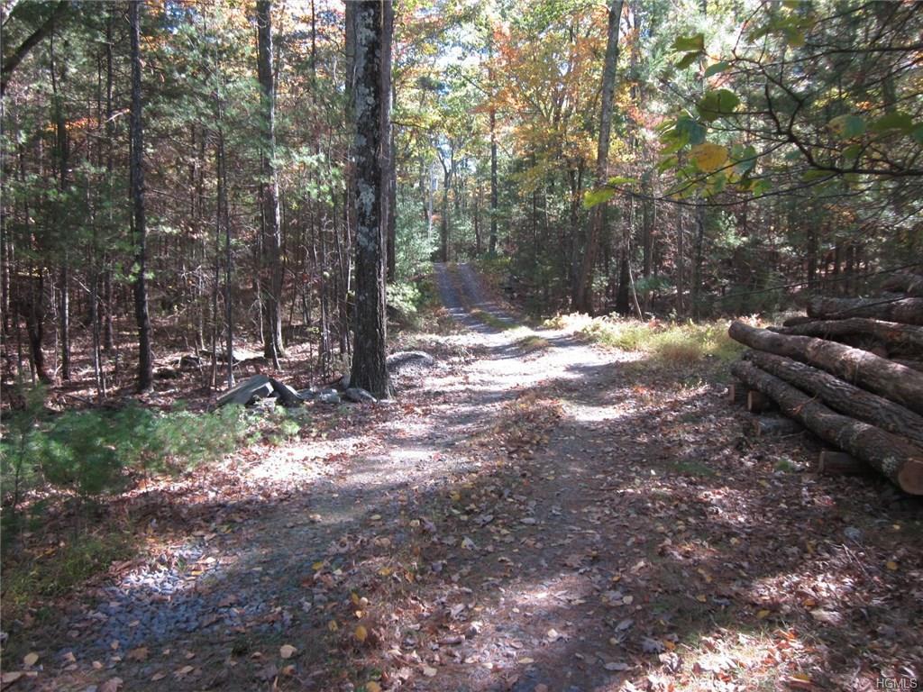 199 Big Lake Road - Photo 1