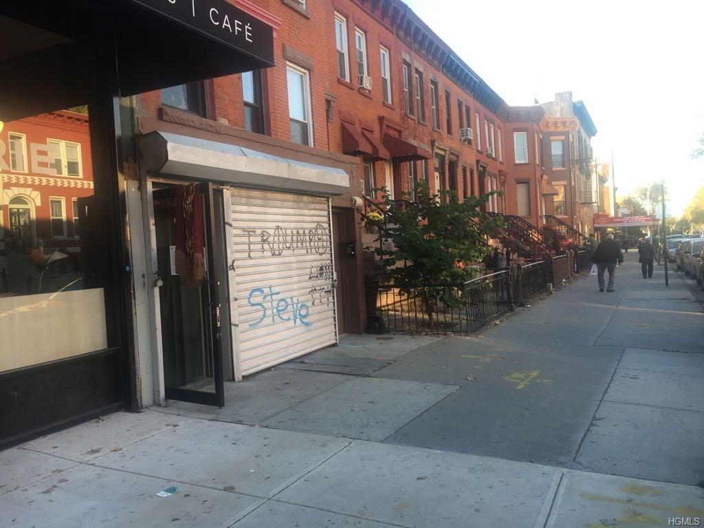 250 Albany Avenue - Photo 1