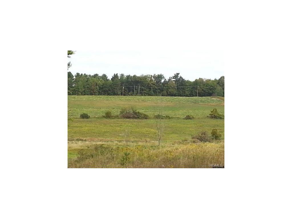 1 Rhinebeck Road - Photo 1