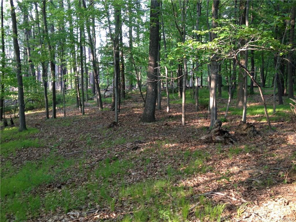 Lot 7 Vincent Lane - Photo 1