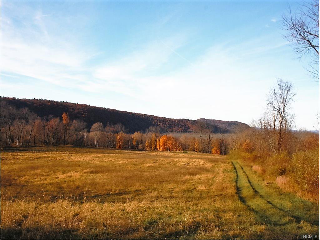 Quaker Hill Road - Photo 1