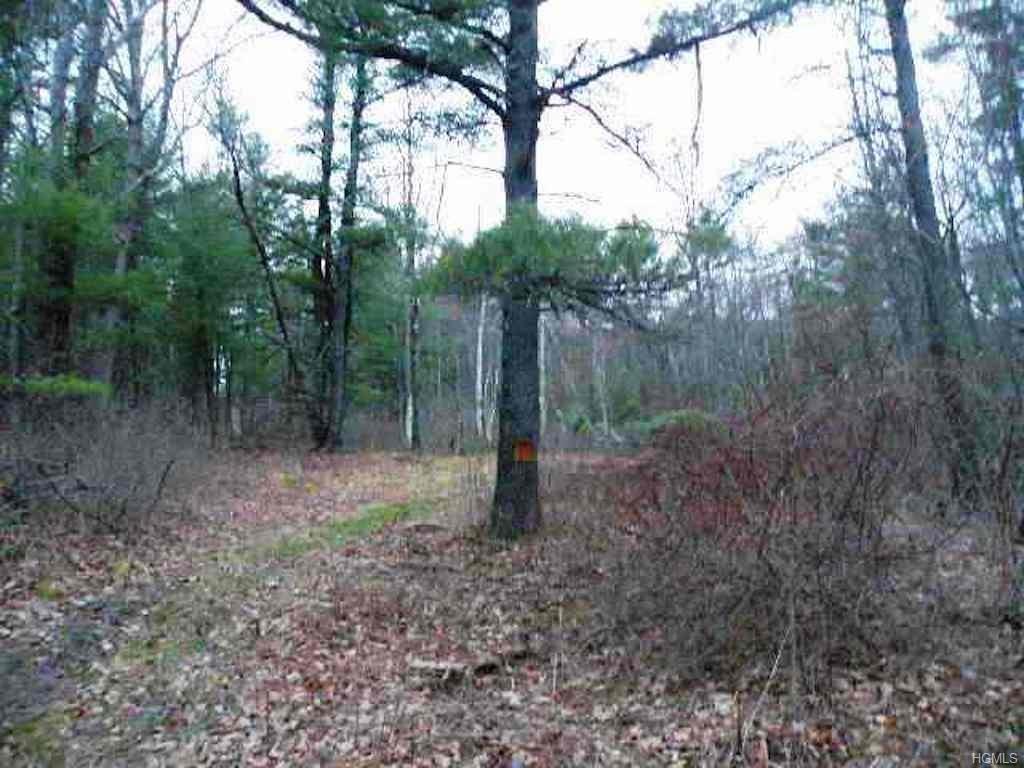 6 Black Locust - Photo 1