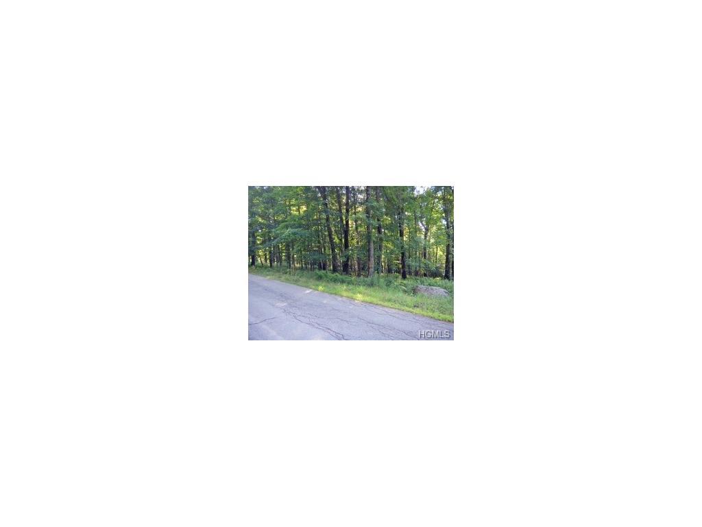 Todd Road Tr 11 - Photo 1