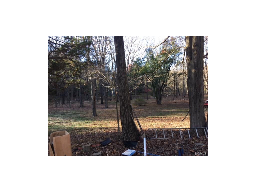 259 Route 100 - Photo 1