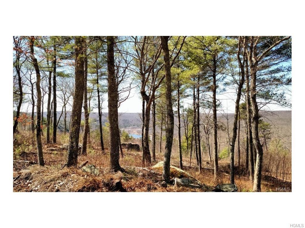 Lot #3 Eagle View Road - Photo 1