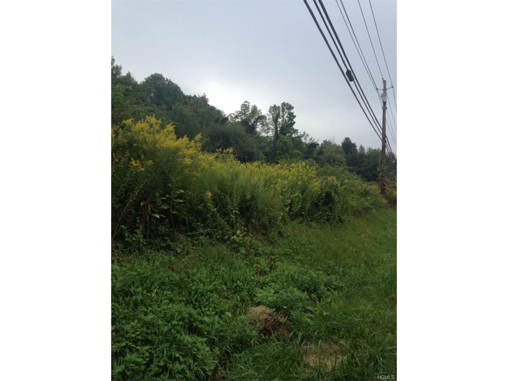 1912 Route 22 - Photo 1