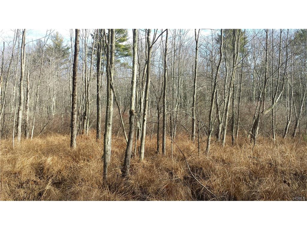 Joel Austin Road - Photo 1