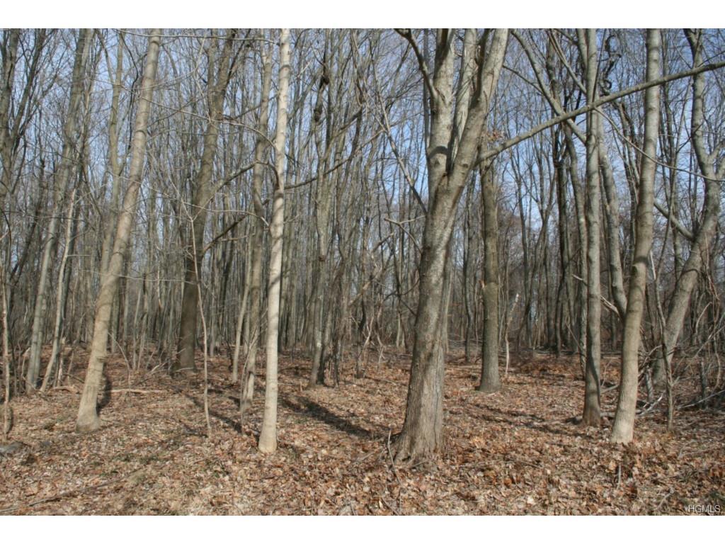 Lot 82 Scofield Road - Photo 1