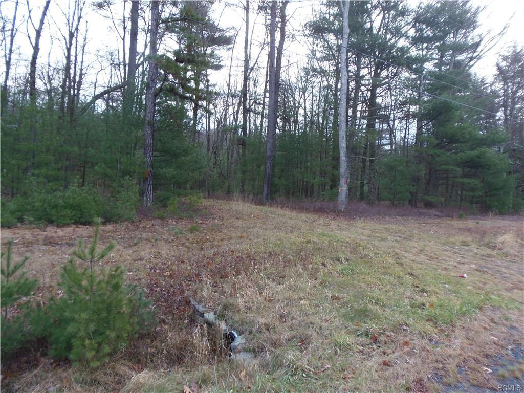 1474 Lot#5 Route 42 - Photo 1