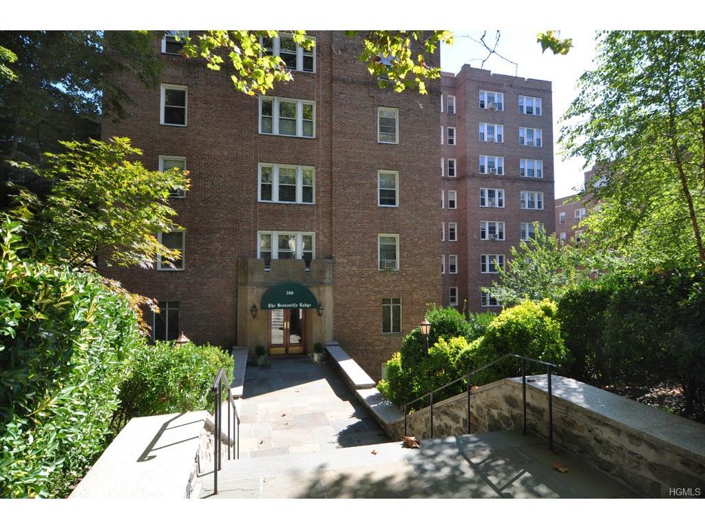 280 Bronxville Road - Photo 1