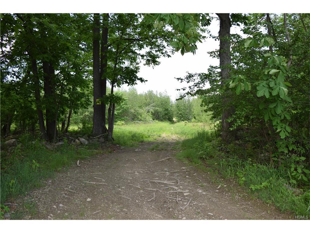 163 Schefflers Road - Photo 1