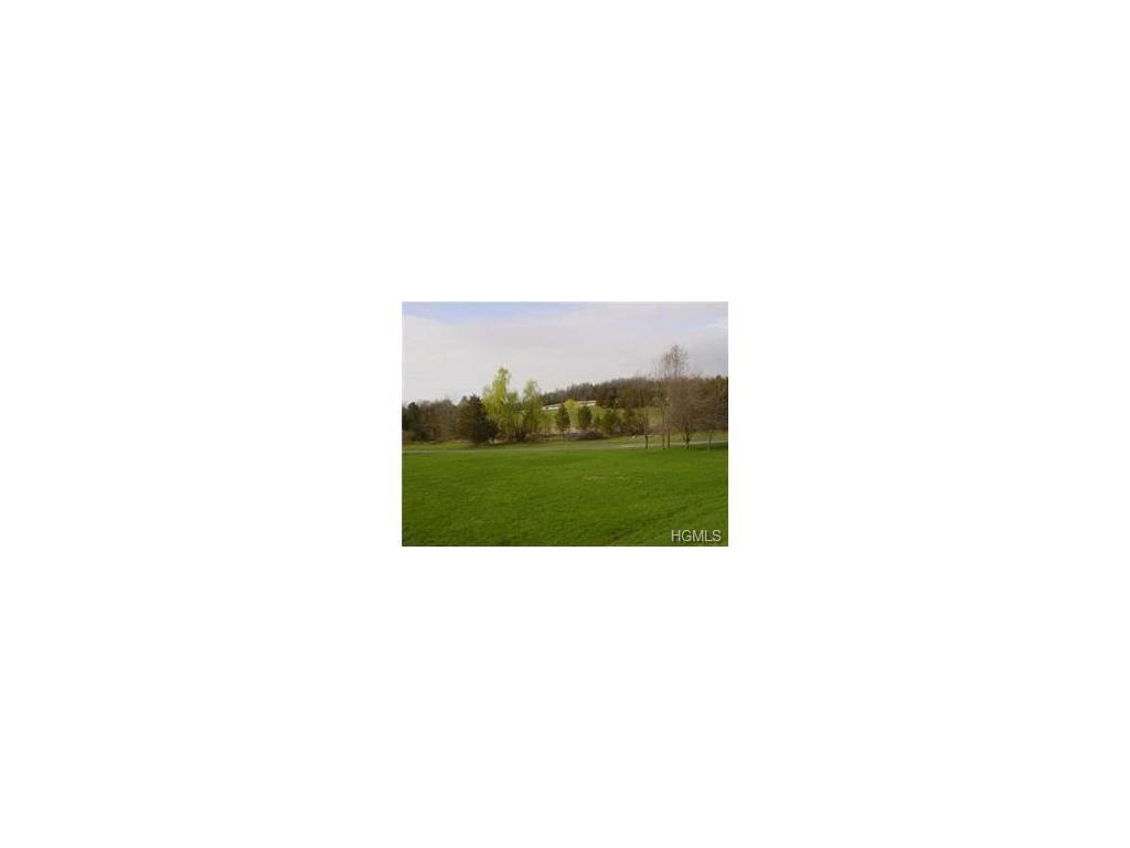 483 Black Meadow Road - Photo 1