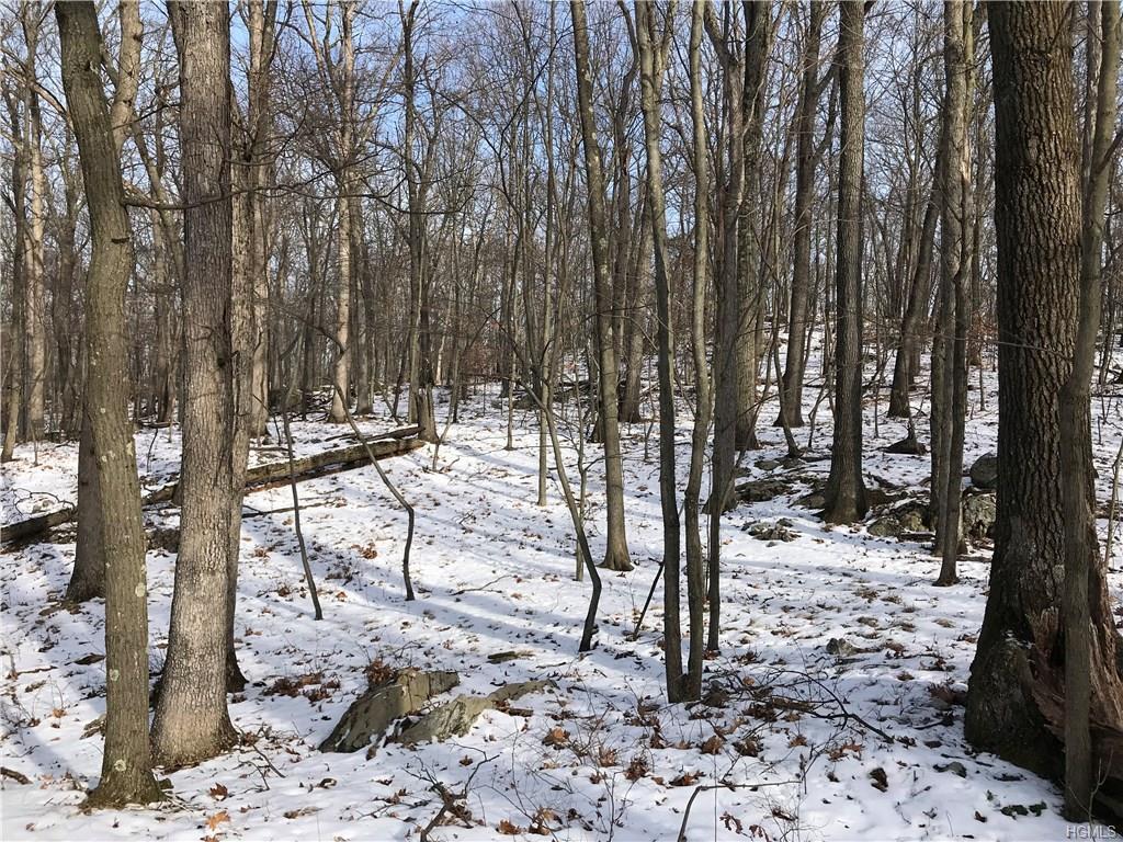 2 Amawalk Point Road - Photo 1
