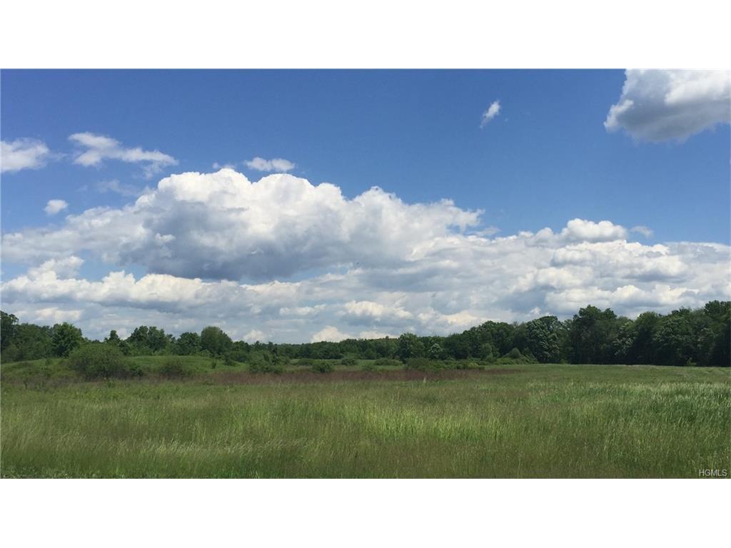 1741 State Route 32 East Side - Photo 1