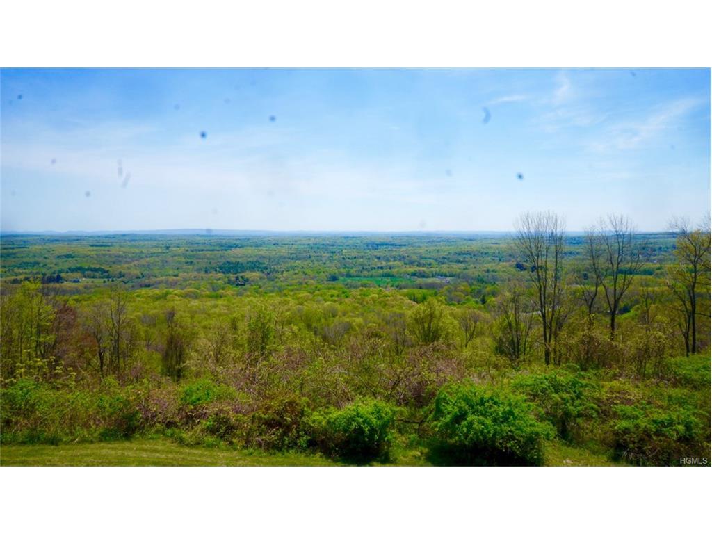 TBD Mountain Road - Photo 1