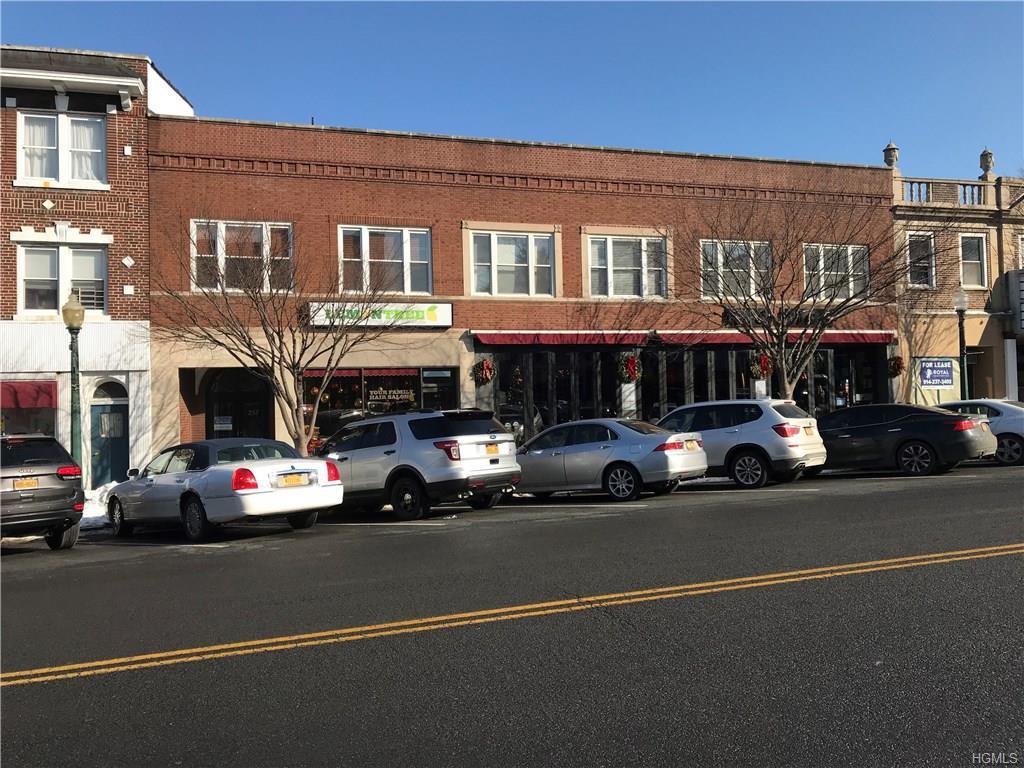 257 Mamaroneck Avenue - Photo 1