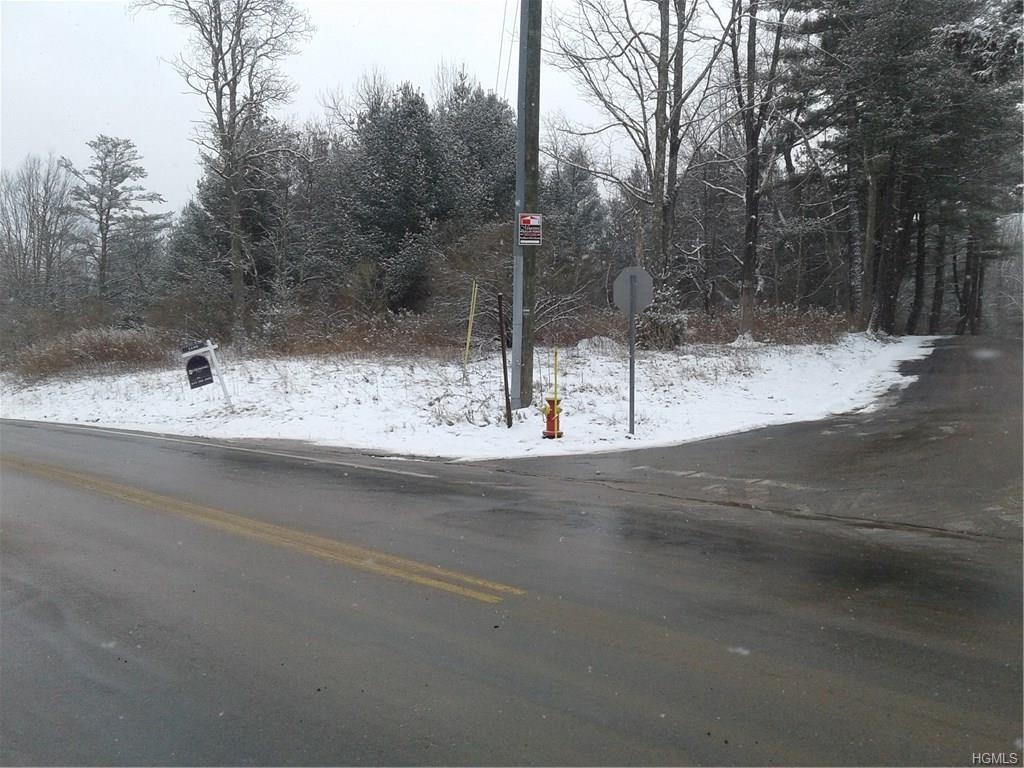Old Turnpike Mountaindale - Photo 1