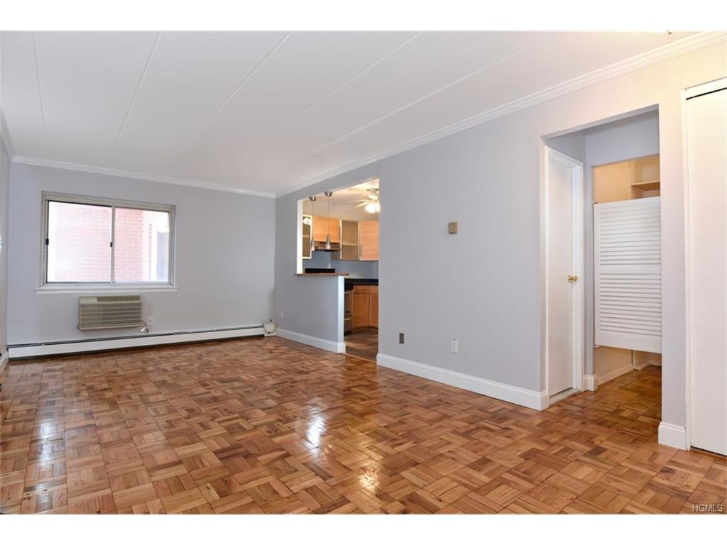 372 Central Park - Photo 1