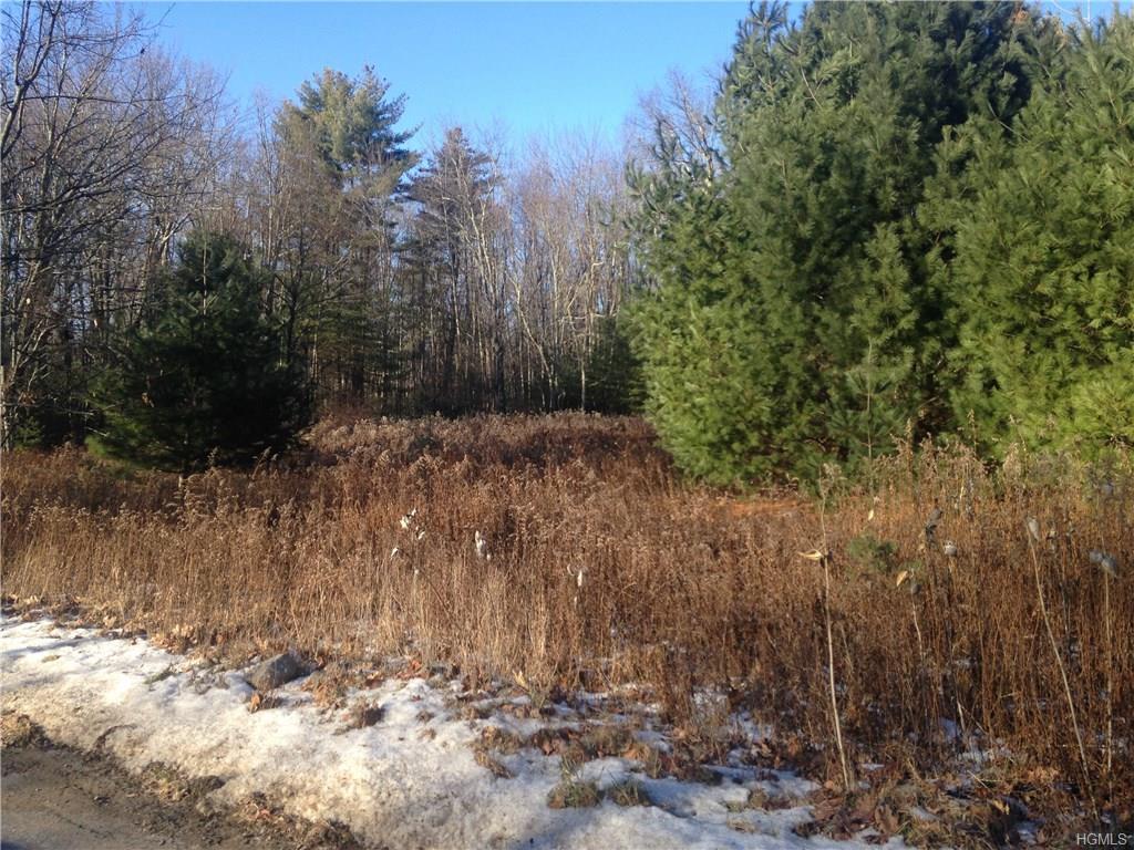 Oak Ridge Road - Photo 1