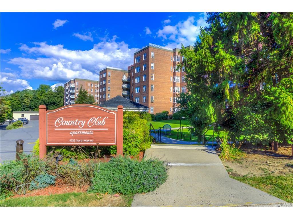 1255 North Avenue - Photo 1
