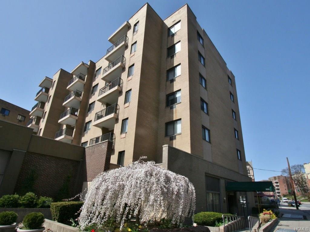 100 Hartsdale Avenue - Photo 1