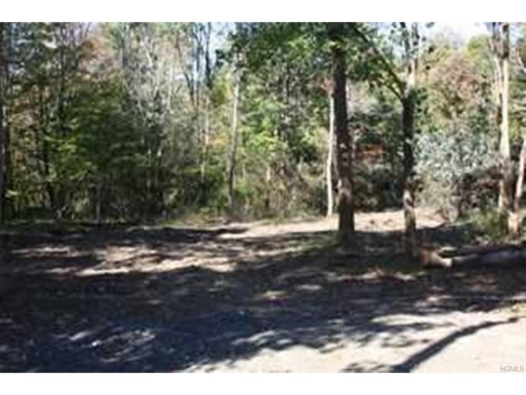 Chestnut Ridge Road - Photo 1