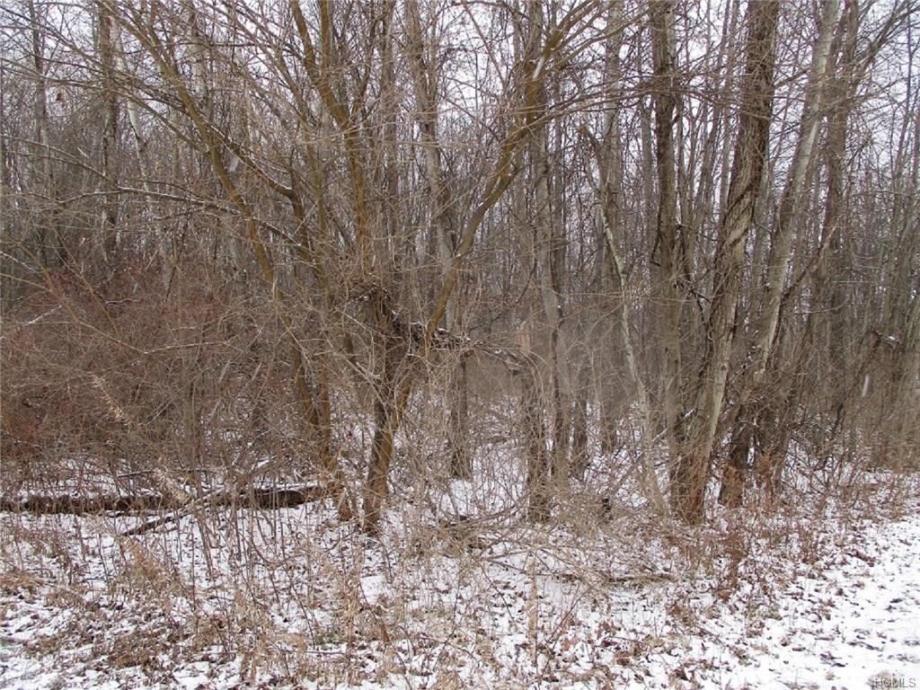 723 State Route 52 - Photo 1