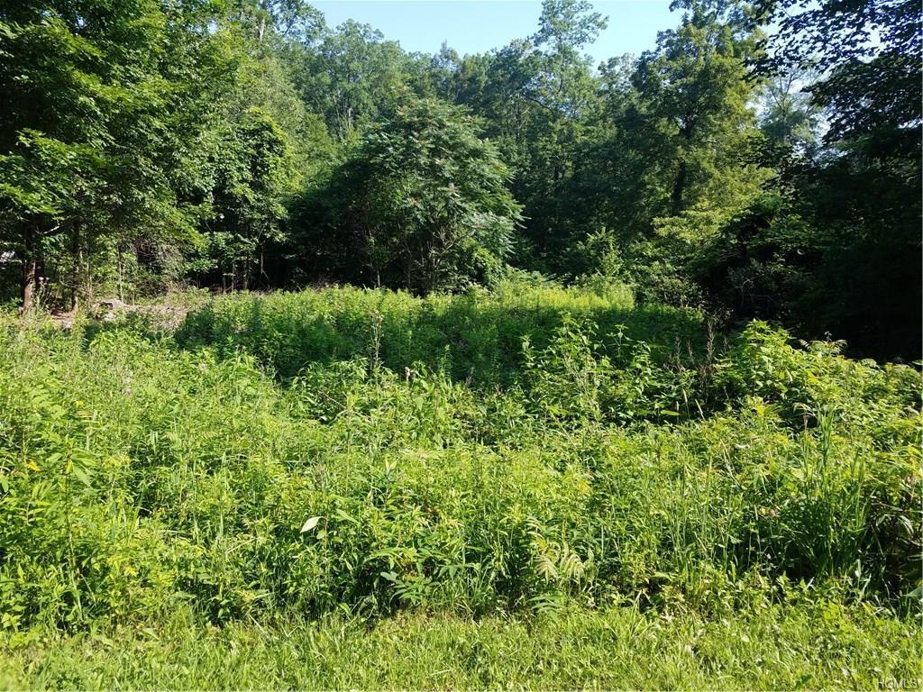 Hickory - Photo 1