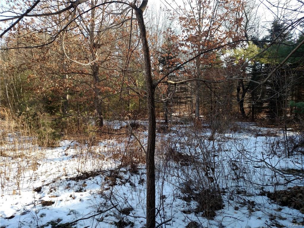 Pinegrove Drive - Photo 1