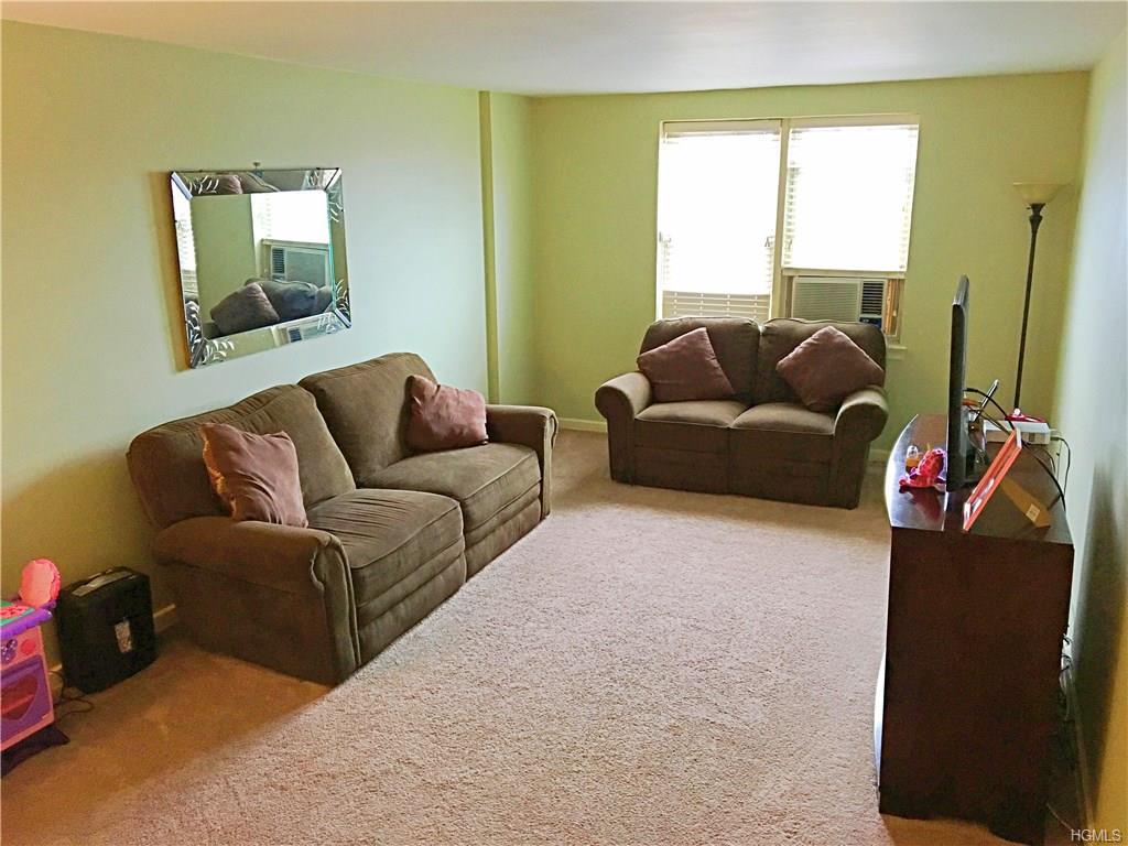 485 Bronx River Road - Photo 1