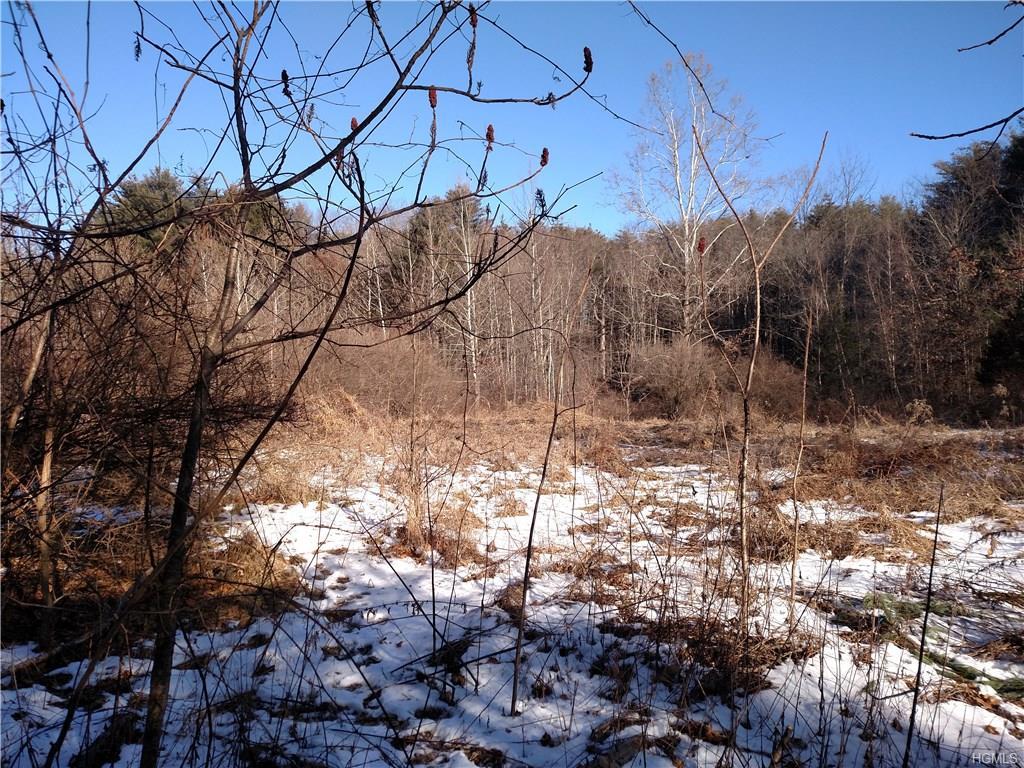 Woodland Drive - Photo 1