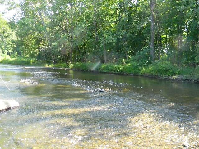 Ten Mile River Road - Photo 1