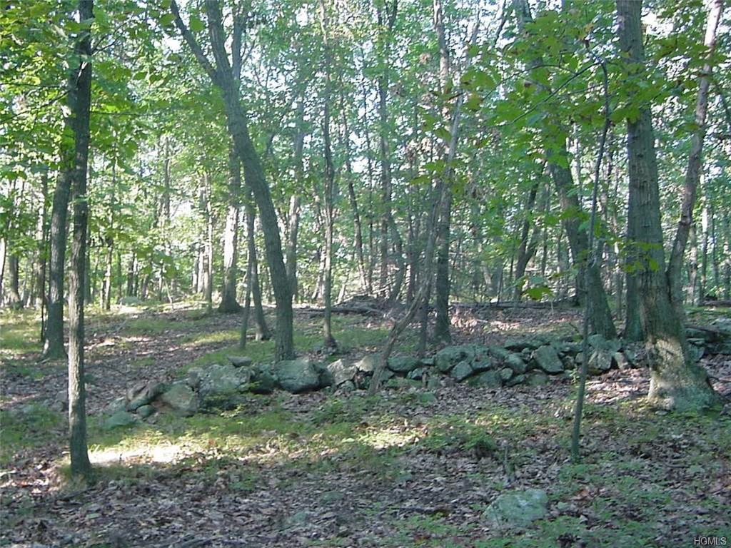 51-1-16 Black Rock Road - Photo 1
