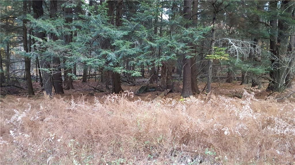 Wildcat Road - Photo 1