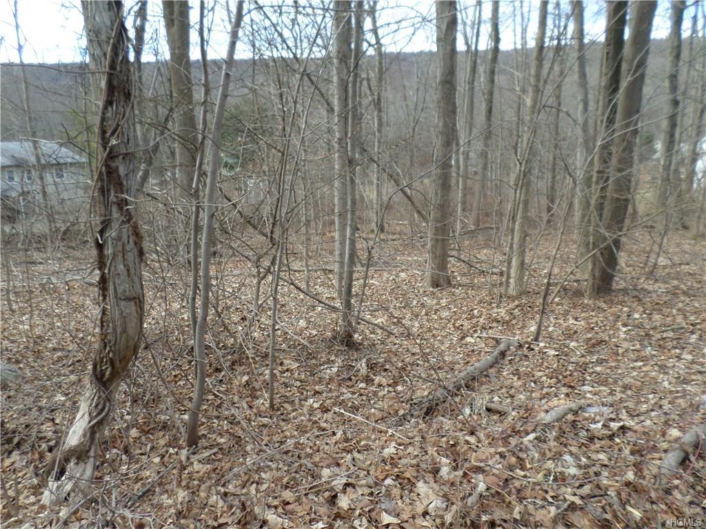 Old Dutch Hollow Road - Photo 1