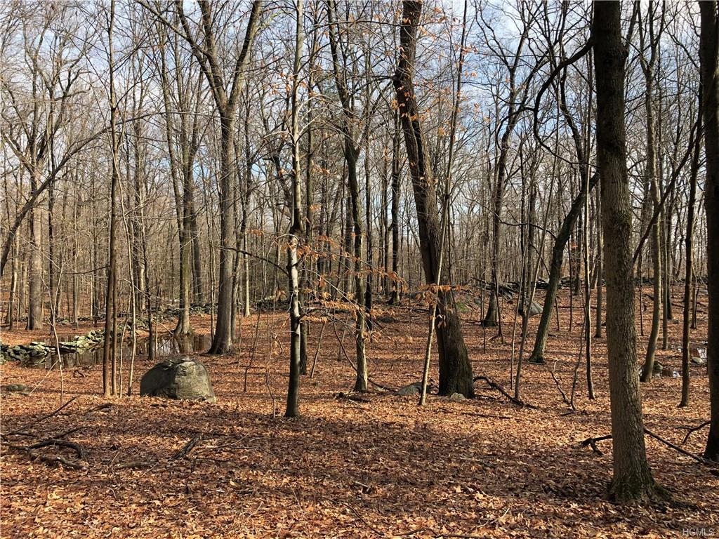 163 Hickory Kingdom Road - Photo 1