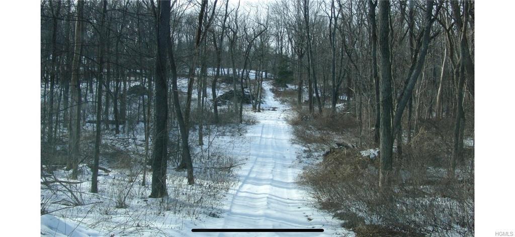 519 Budds Corners Road - Photo 1