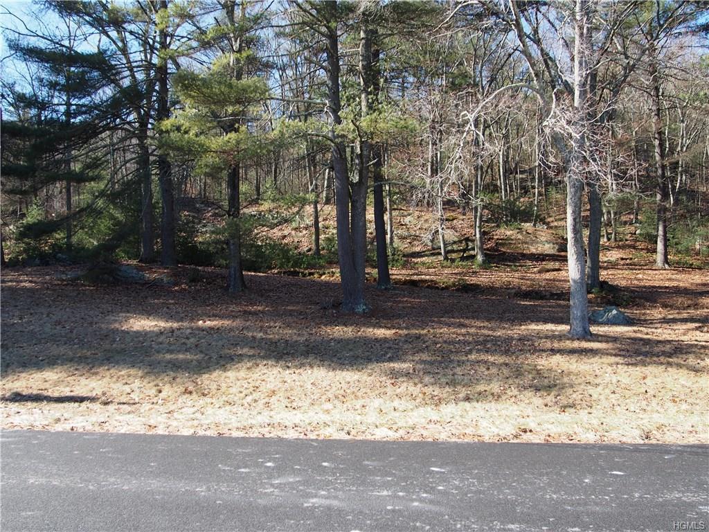 TBD Diane Drive - Photo 1