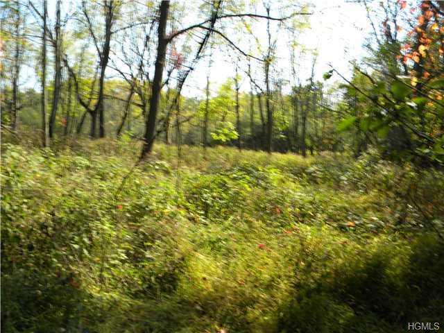 260 Phillipsburg Road - Photo 1