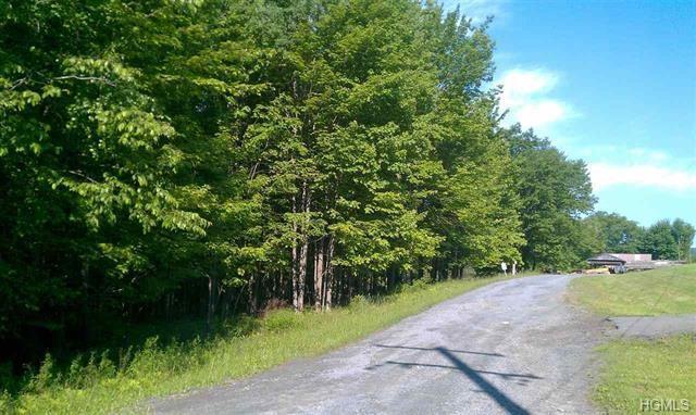 State Route 55 - Photo 1