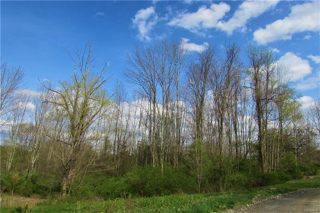 Lot 13 Cushman Road - Photo 1