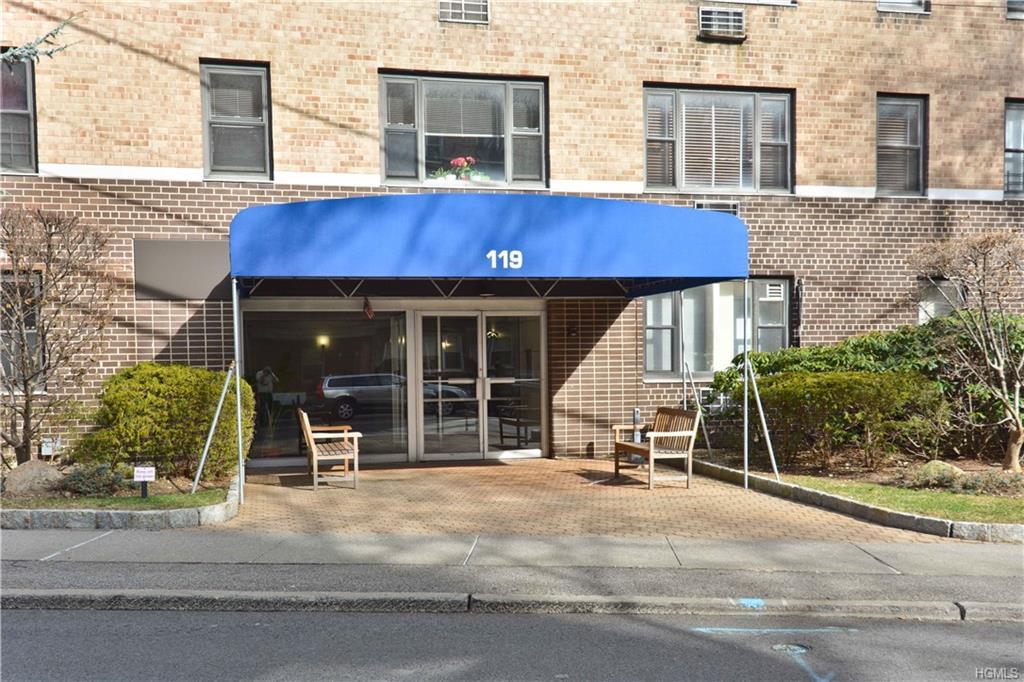 119 Hartsdale Avenue - Photo 1
