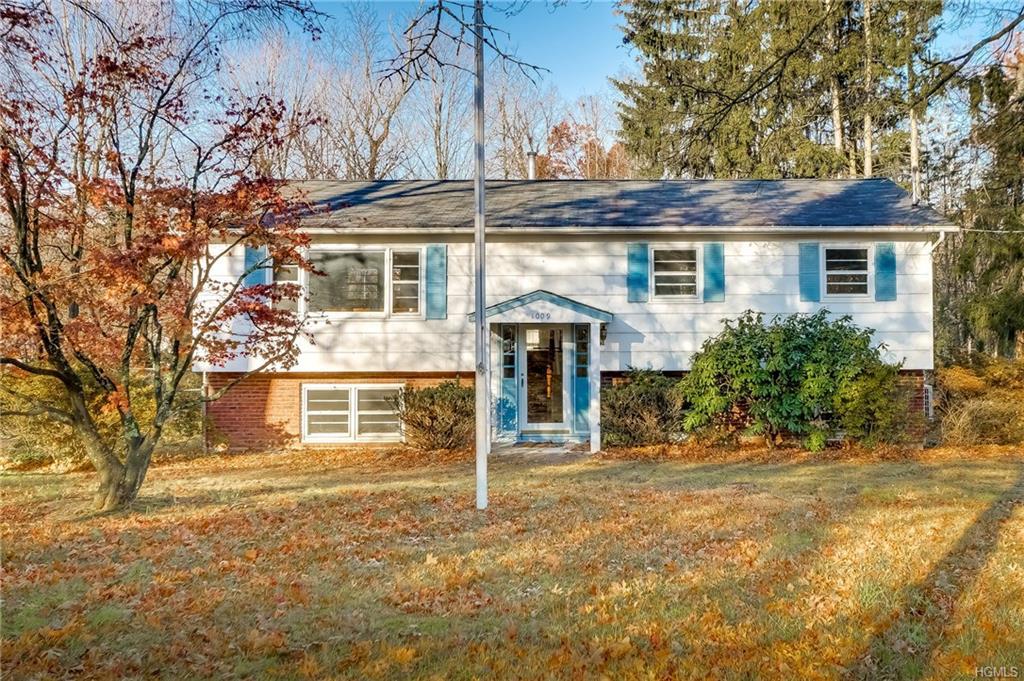 1009 Chestnut Ridge Road - Photo 1