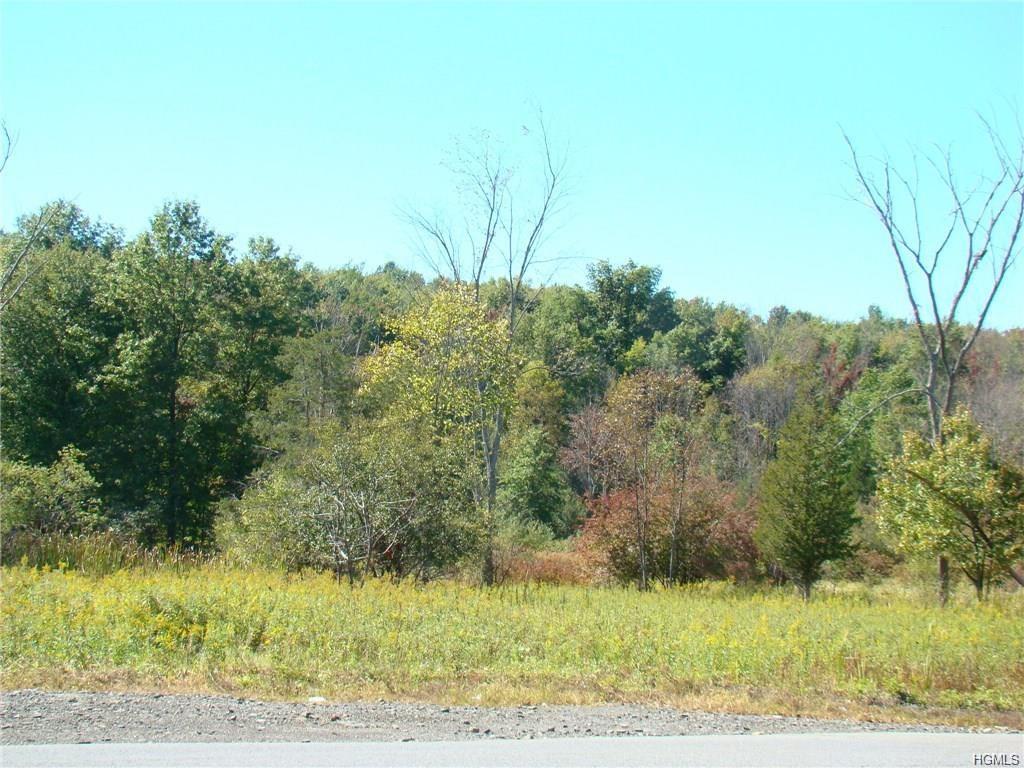 Nys Rte 94 - Photo 1