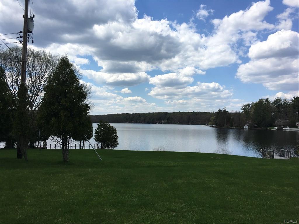 10 Lewcy - Photo 1